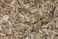 biomass boilers Monikie