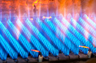 Monikie gas fired boilers